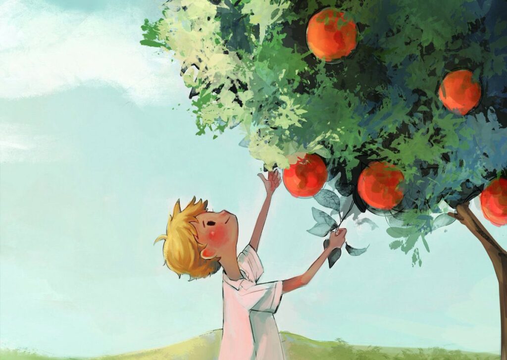 Şeker Portakalı / JOSÉ MAURO DE VASCONCELOS Seker Prtkl 1024x727